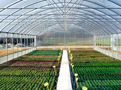 Diplomatura en Viveros y Huertas Urbanas Ecológicas + IA