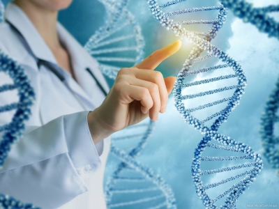 Técnico Auxiliar en Genética y Biología Molecular + IA